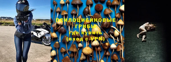 меф Белокуриха